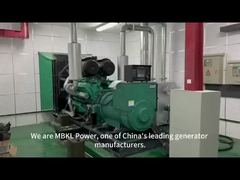 شاهدوا التسليم السلس لمجموعتين من مولدات الديزل من 1000 كيلوواط من مصنعنا